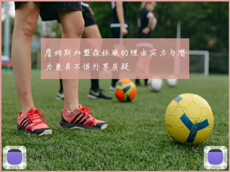 詹姆斯加盟森林狼的理由实力与潜力兼具不惧外界质疑