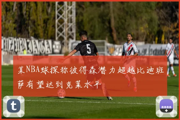 某NBA球探称彼得森潜力超越比迪班萨有望达到克莱水平